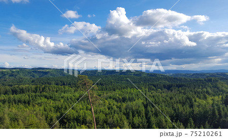 View over an amazing big forest around Winterthur, Switzerland View over an amazing big forest around Winterthur, Switzerland 75210261