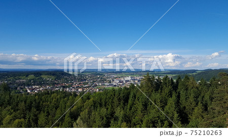 View over an amazing big forest towards the city of Winterthur, Switzerland 75210263