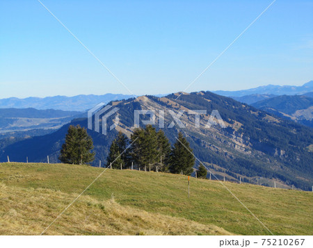 View from mount Rigi, Switzerland, towards the famous former landslide of Goldau 75210267