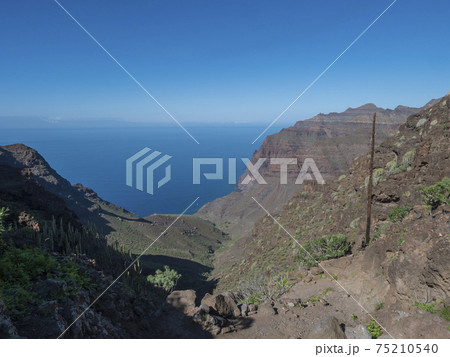 View of arid subtropical landscape of Barranco de Guigui Grande ravine with cacti and palm trees viewed from hiking trail Tasartico to Playa GuiGui beach. West of Gran Canaria, Canary Islands, Spain 75210540