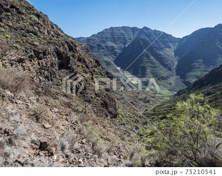 View of arid subtropical landscape of Barranco de Guigui Grande ravine with cacti and palm trees viewed from hiking trail Tasartico to Playa GuiGui beach. West of Gran Canaria, Canary Islands, Spain View of arid subtropical landscape of Barranco de Guigui Grande ravine with cacti and palm trees viewed from hiking trail Tasartico to Playa GuiGui beach. West of Gran Canaria, Canary Islands, Spain 75210541
