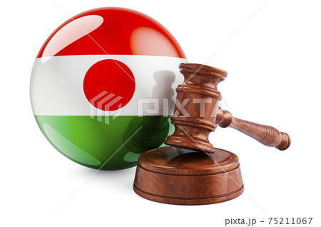 Niger law and justice concept. Wooden gavel with flag of Niger. 3D rendering Niger law and justice concept. Wooden gavel with flag of Niger. 3D rendering 75211067
