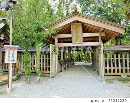 宗像大社　高宮参道入口 75211220