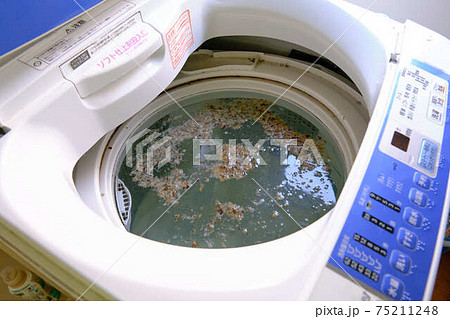 洗濯機の清掃カビが浮いているところ 洗濯機の清掃カビが浮いているところ 75211248