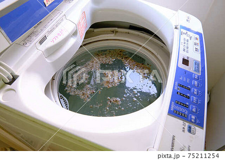 洗濯機の清掃カビが浮いているところ 75211254