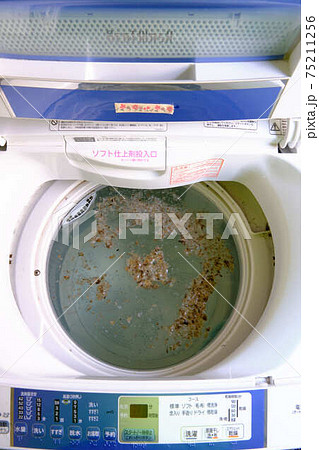 洗濯槽の掃除カビが浮いているところ 洗濯槽の掃除カビが浮いているところ 75211256