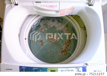 洗濯槽の掃除カビが浮いているところ 洗濯槽の掃除カビが浮いているところ 75211257