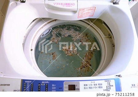 洗濯槽の掃除カビが浮いているところ 75211258