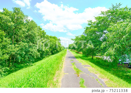 7月下妻市小貝川ふれあい公園 75211338