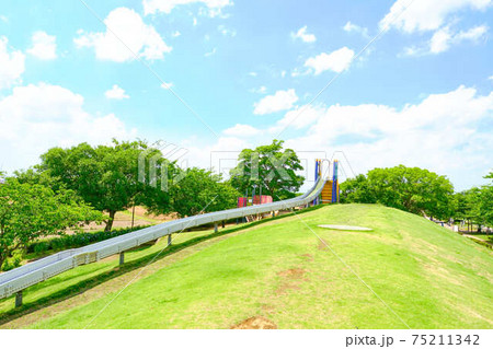 7月下妻市小貝川ふれあい公園 75211342