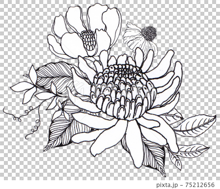 Flower line art bouquet - Stock Illustration [75212656] - PIXTA