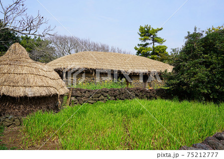 晴れ 麦畑 石垣 75212777