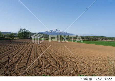 斜里岳遠景と畑地 75213722