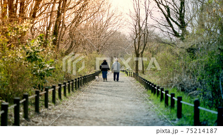 森の中の散歩道 75214187