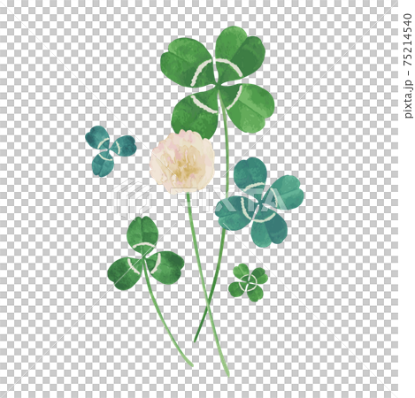 Clover watercolor illustration happy image 75214540