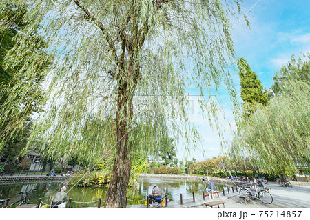公園の風景 都立赤塚公園で釣りを楽しむ人々 東京都板橋区 公園の風景 都立赤塚公園で釣りを楽しむ人々 東京都板橋区 75214857
