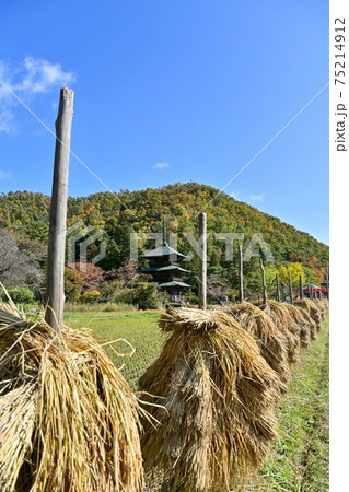 古びた三重塔と晩秋の田園のコラボ情景@山形 古びた三重塔と晩秋の田園のコラボ情景@山形 75214912