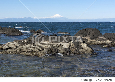 荒崎海岸からの富士山 荒崎海岸からの富士山 75214926