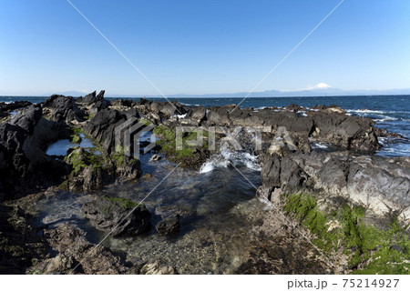 荒崎海岸からの富士山 荒崎海岸からの富士山 75214927