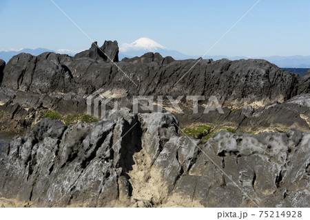 荒崎海岸からの富士山 75214928
