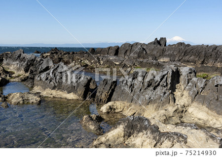 荒崎海岸からの富士山 荒崎海岸からの富士山 75214930