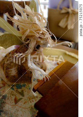 楽器を奏でる麓郷の妖精、心で聞いてくださいね。 楽器を奏でる麓郷の妖精、心で聞いてくださいね。 75215075