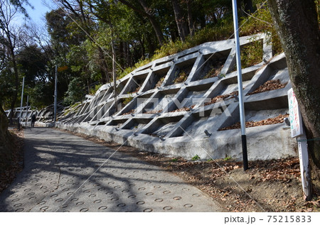 山麓の急坂 山麓の急坂 75215833