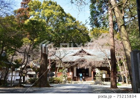 保久良神社 保久良神社 75215834