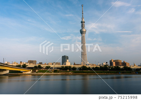 隅田公園からの東京スカイツリーと隅田川 隅田公園からの東京スカイツリーと隅田川 75215998