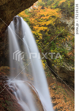 長野_紅葉した松川渓谷の雷滝(裏見の滝) 長野_紅葉した松川渓谷の雷滝(裏見の滝) 75216136