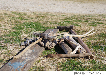 流木と海と砂浜の風景　南伊豆爪木埼にて 75216479