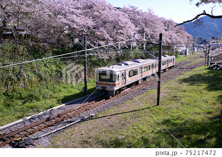 桜咲くJR御殿場線山北駅 桜咲くJR御殿場線山北駅 75217472