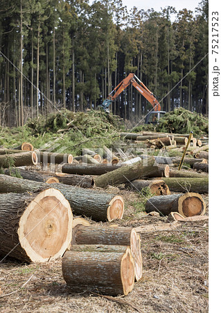 森林伐採 山を切り開くイメージの写真素材