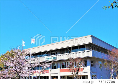 堺市立会館 栂文化会館春の風景 堺市立会館 栂文化会館春の風景 75217700