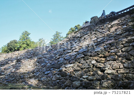 唐沢山城 75217821