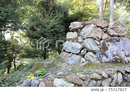 唐沢山城 75217827