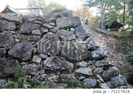 唐沢山城 唐沢山城 75217828