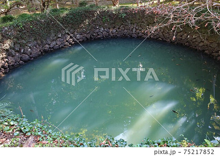 唐沢山城 75217852