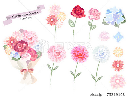 贈り物の花　母の日　お祝い　 75219108