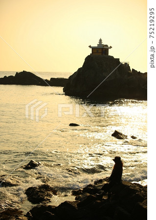 海岸 海 カメラマン 75219295
