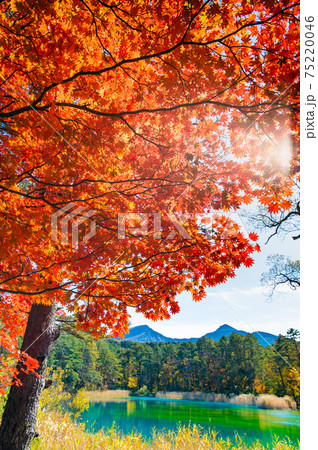 福島県北塩原村 紅葉の五色沼(弁天沼) 福島県北塩原村 紅葉の五色沼(弁天沼) 75220046