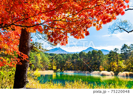 福島県北塩原村 紅葉の五色沼（弁天沼） 75220048