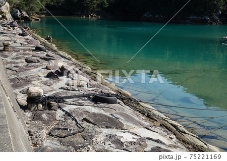 宍喰浦のエメラルドグリーン 75221169