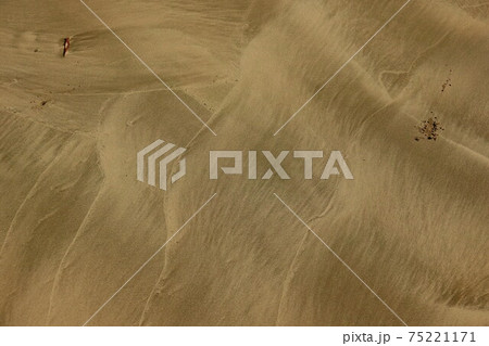 宍喰浦海岸の砂浜の波模様 75221171