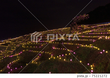 石川能登_白米千枚田のイルミネーション 75221272