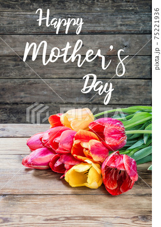 Greetings card with tulip flowers for Happy Mothers Day Greetings card with tulip flowers for Happy Mothers Day 75221936