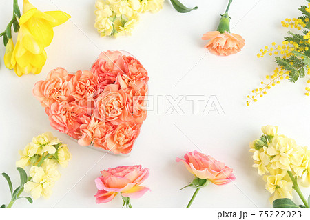 花のフレームとカーネーションのハート 花のフレームとカーネーションのハート 75222023