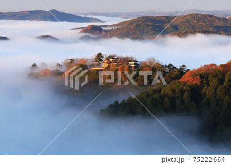 天空の山城5600 天空の山城5600 75222664