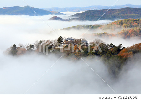 天空の山城6246 75222668