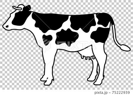 横から見た牛の全身イラスト 75222939